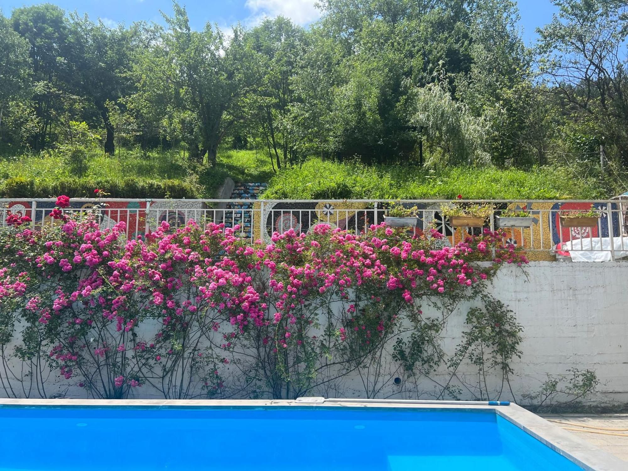 Dilijan Duplex Villa Kültér fotó